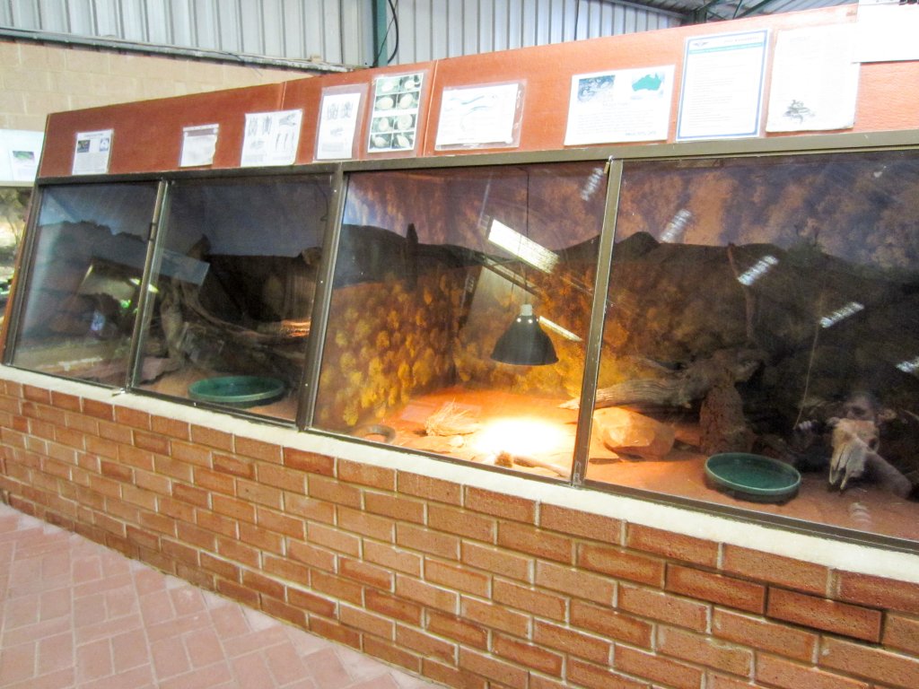 Indoor reptile exhibits