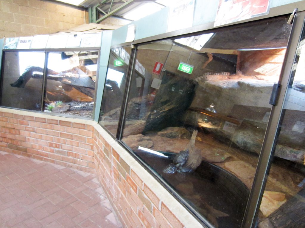 Indoor reptile exhibits