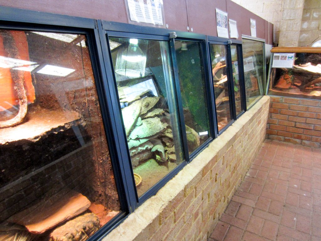 Indoor reptile exhibits