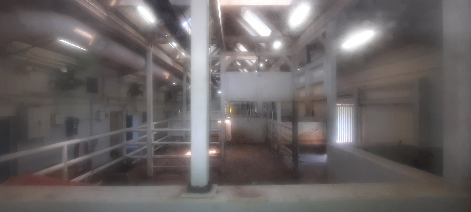 Indoor Rhino Viewing