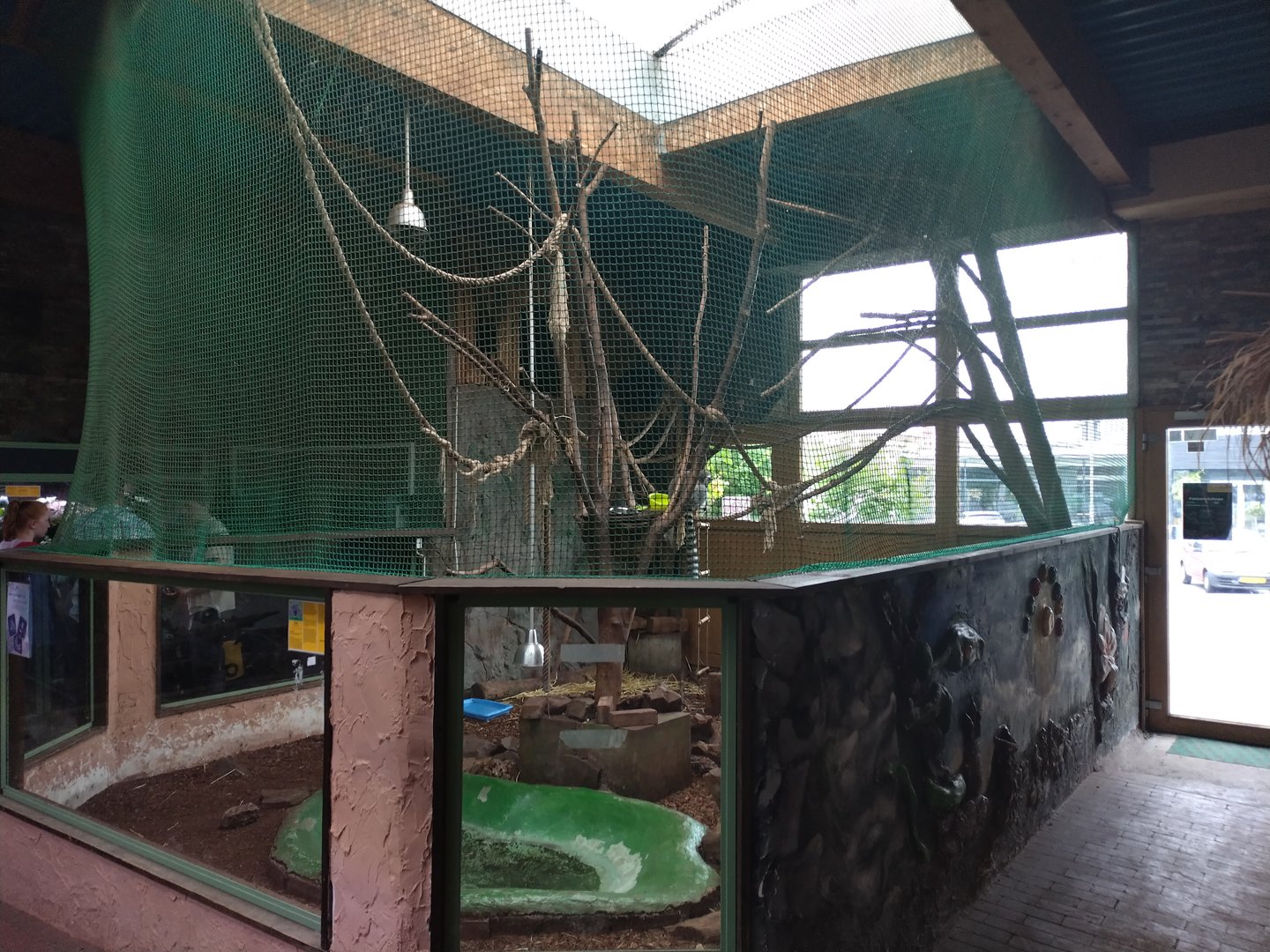 Indoor ring tailed lemur enclosure