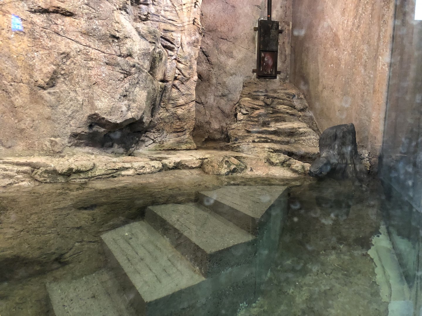 Indoor River Otter Exhibit