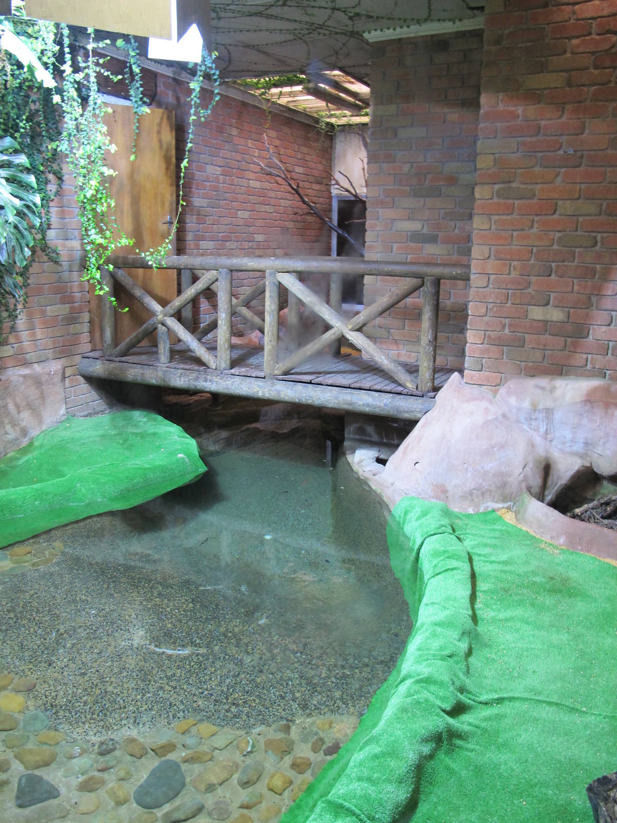 Indoor Saltwater Crocodile Exhibit - Ballarat Wildlife Park May 2013
