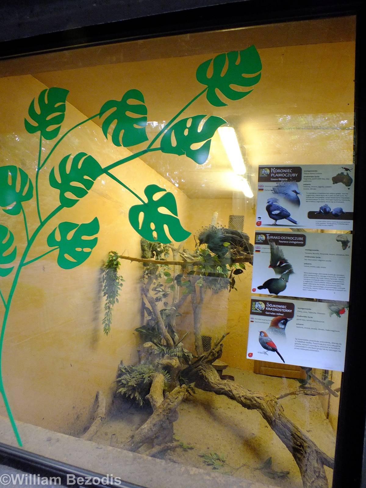 Indoor Section for Birds