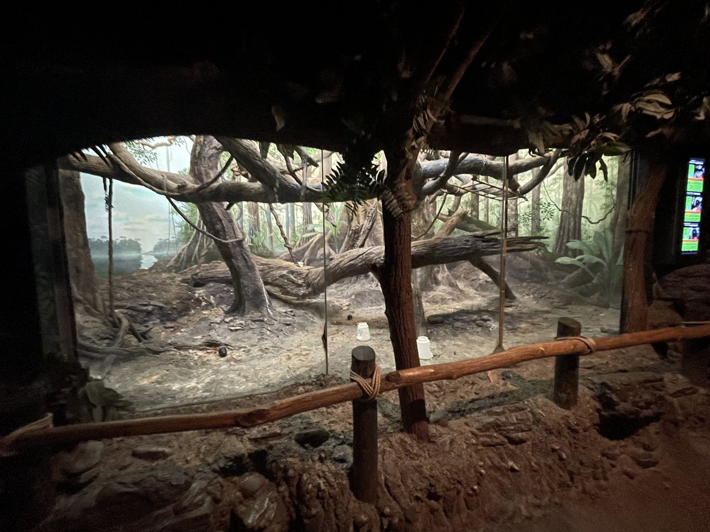 Indoor Sifaka, Angolan Colobus, Grey Crowned Guenon