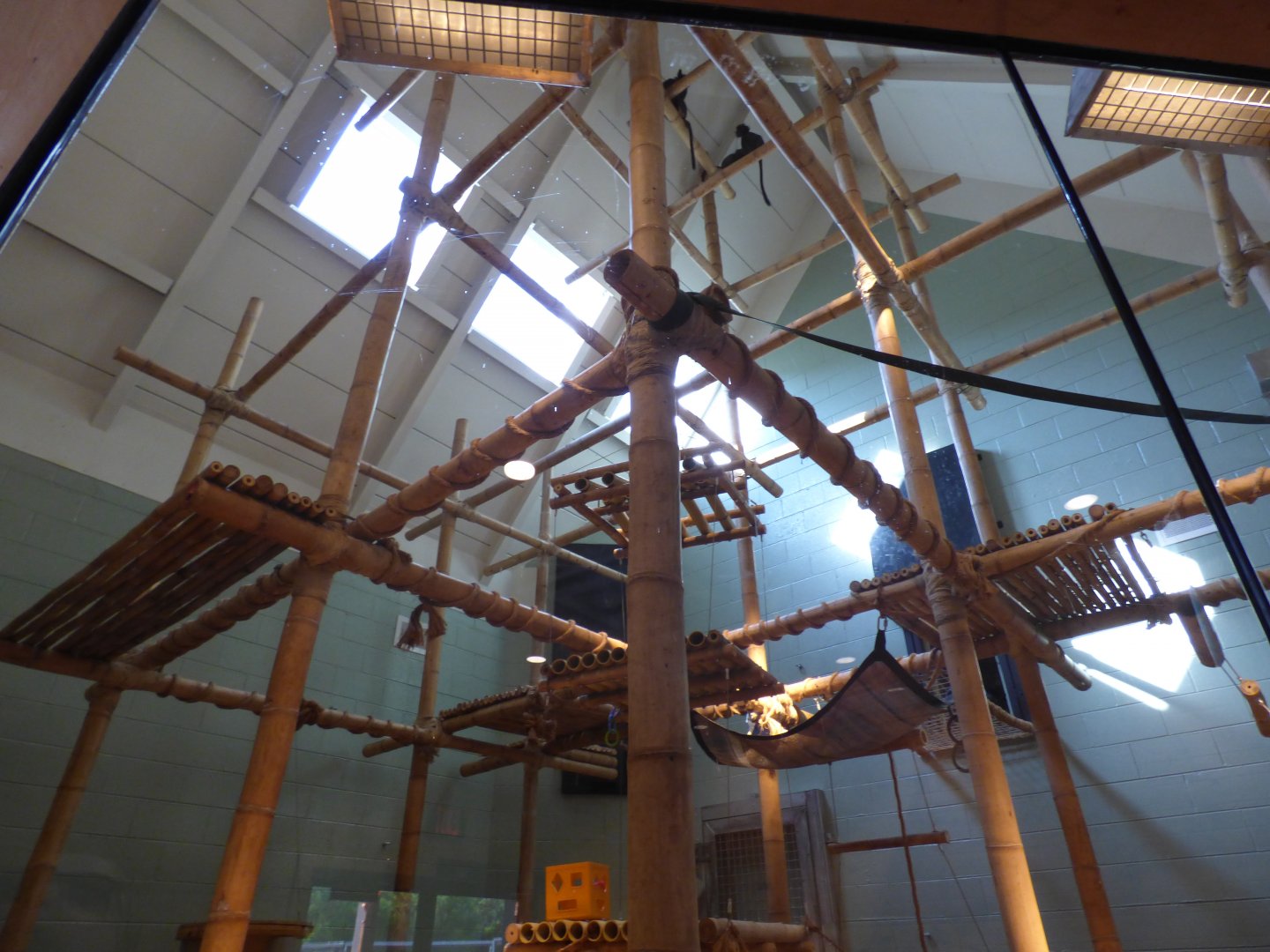 Indoor Silvered Leaf Langur Exhibit - May 2018