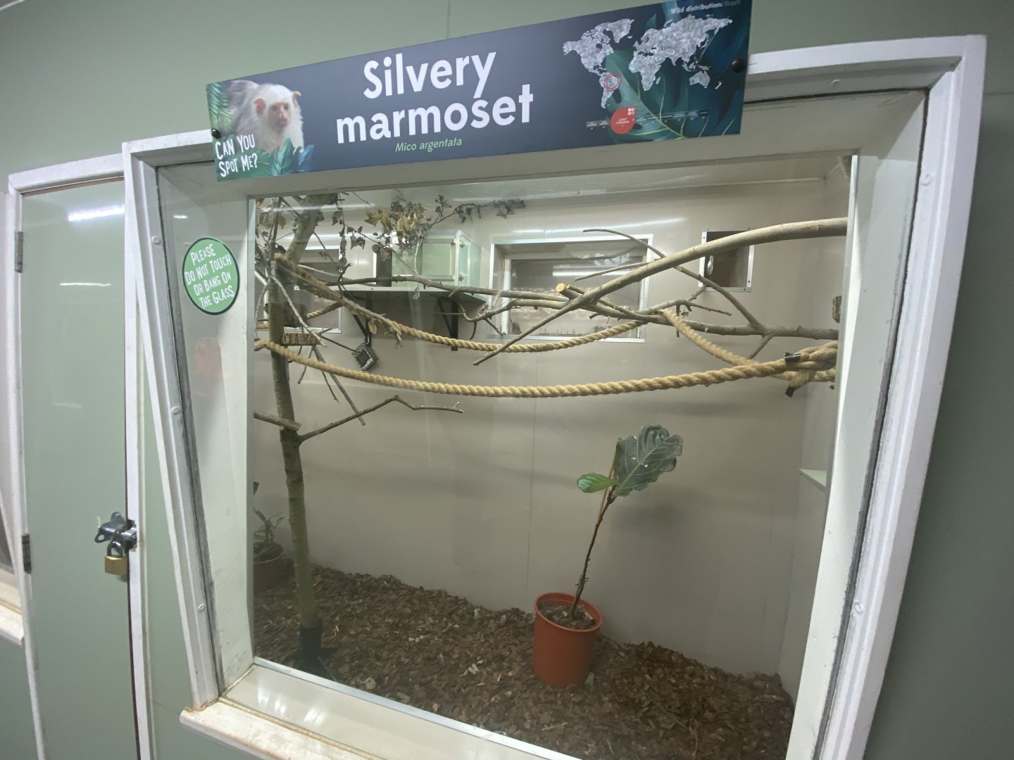 Indoor silvery marmoset enclosure and signage