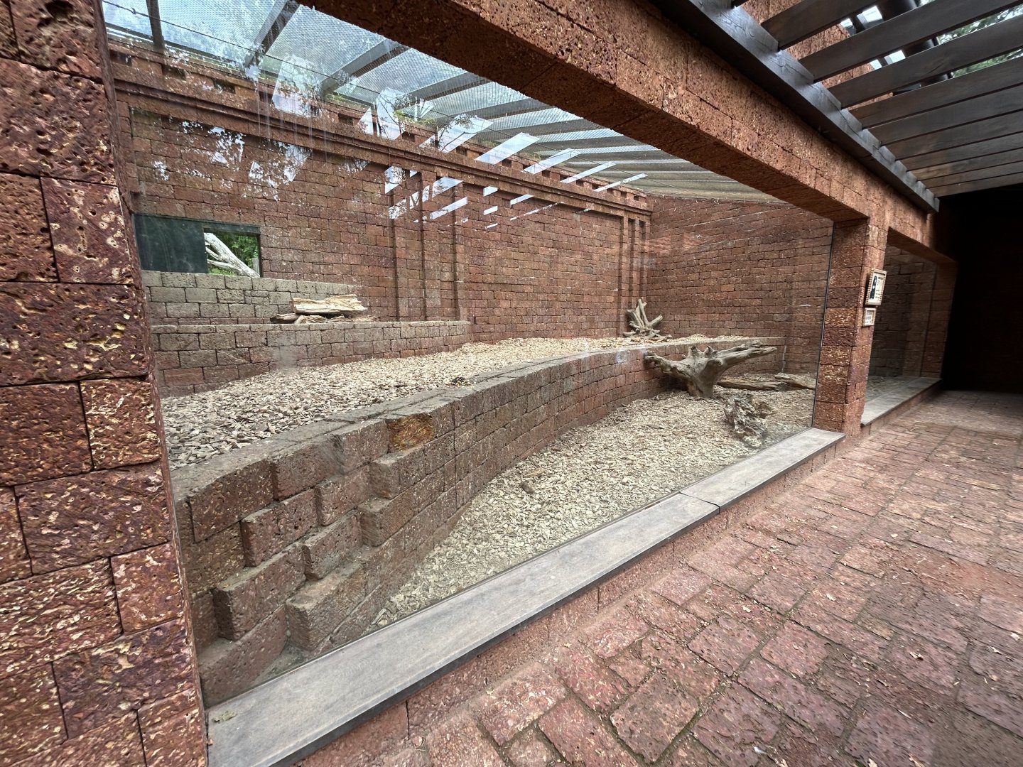 Indoor Sloth Bear Exhibit