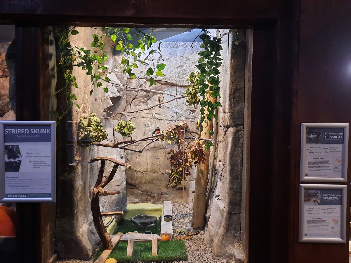 Indoor Small Bird Exhibit