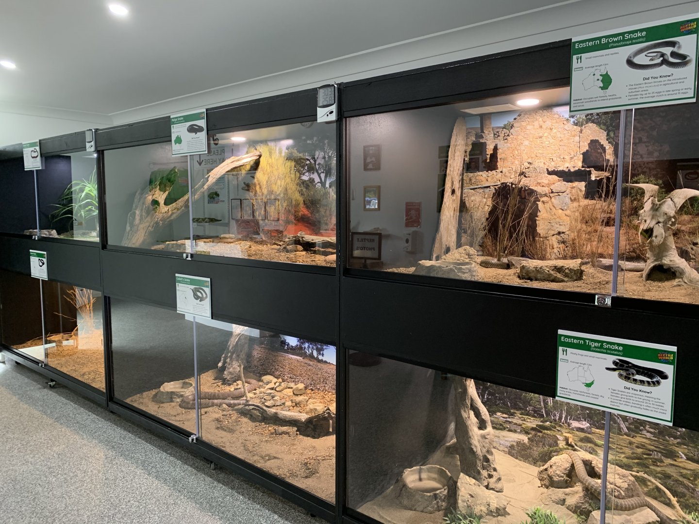 Indoor Snake Enclosures