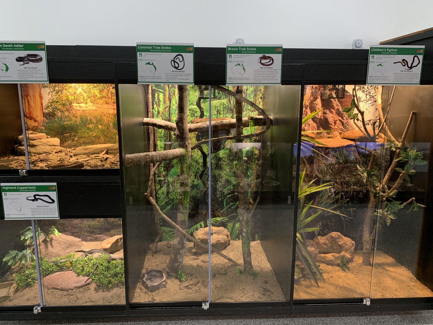 Indoor Snake Enclosures