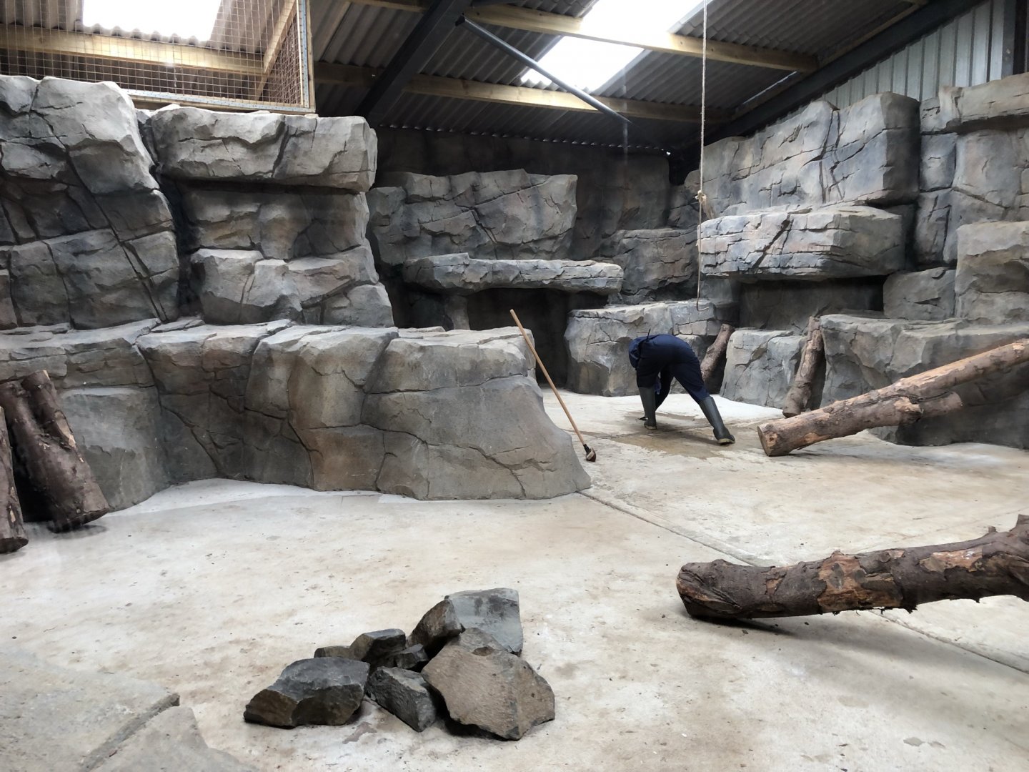 Indoor Snow Leopard Enclosure at Northumberland Country Zoo (September 2021)