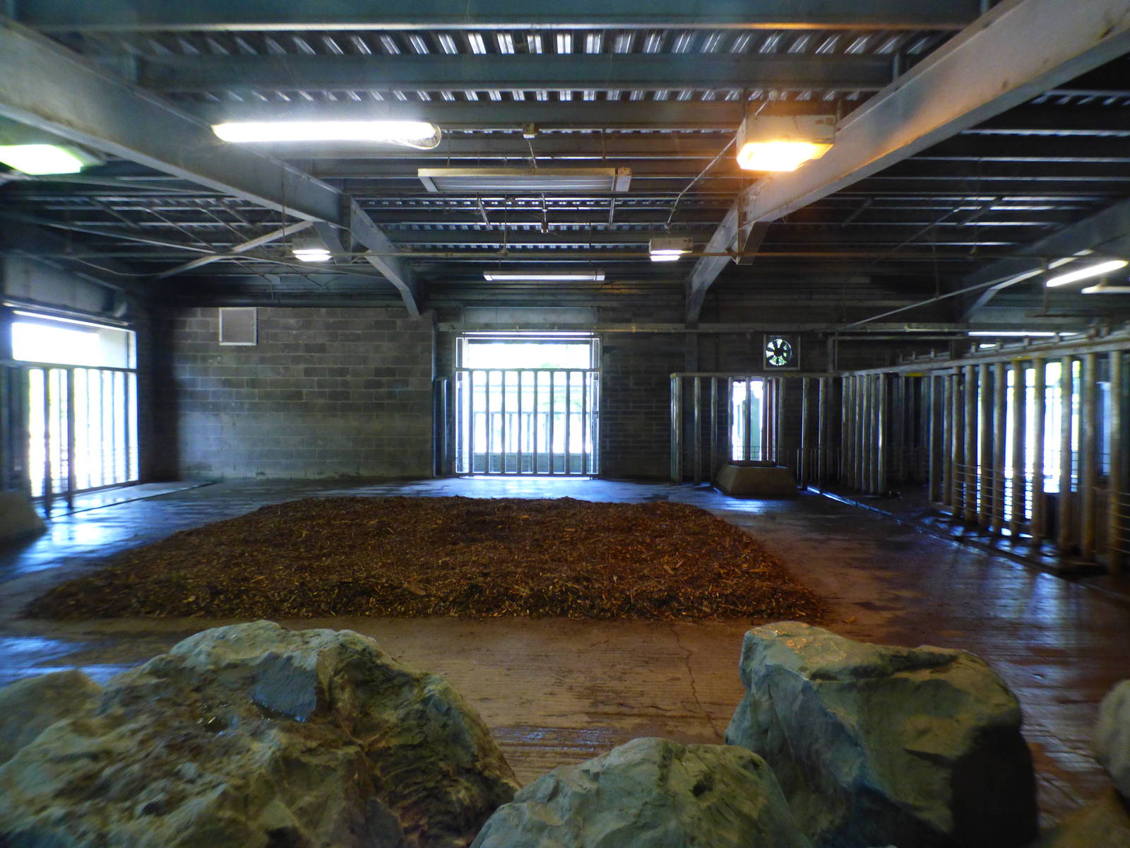 Indoor Southern White Rhino Enclosure