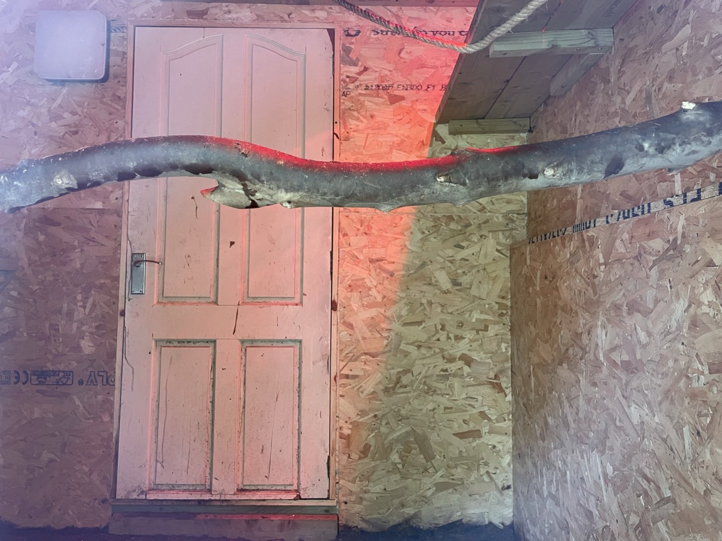 Indoor Squirrel Monkey Enclosure at Ponderosa Zoo (July 2021)