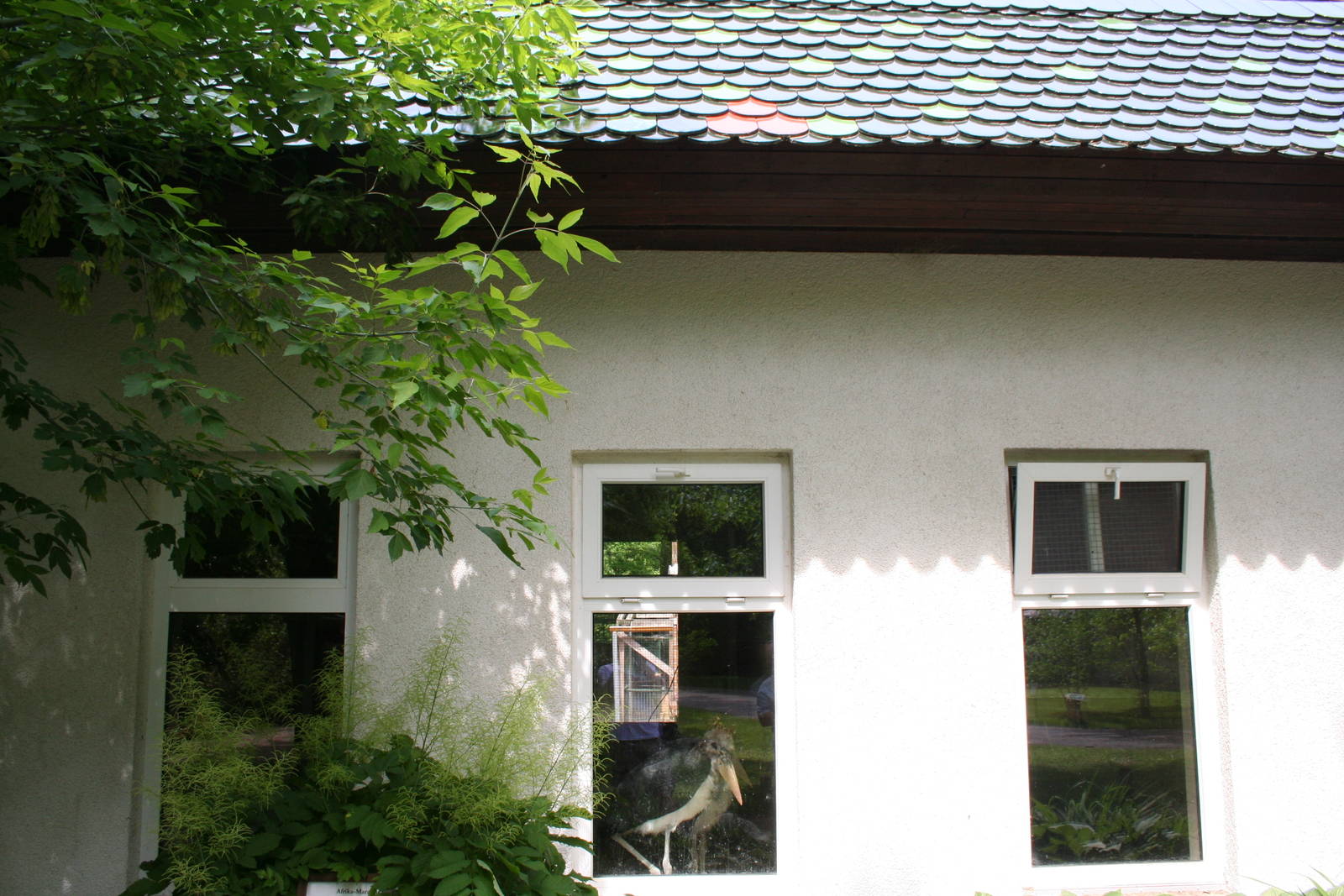 Indoor stork winter housing