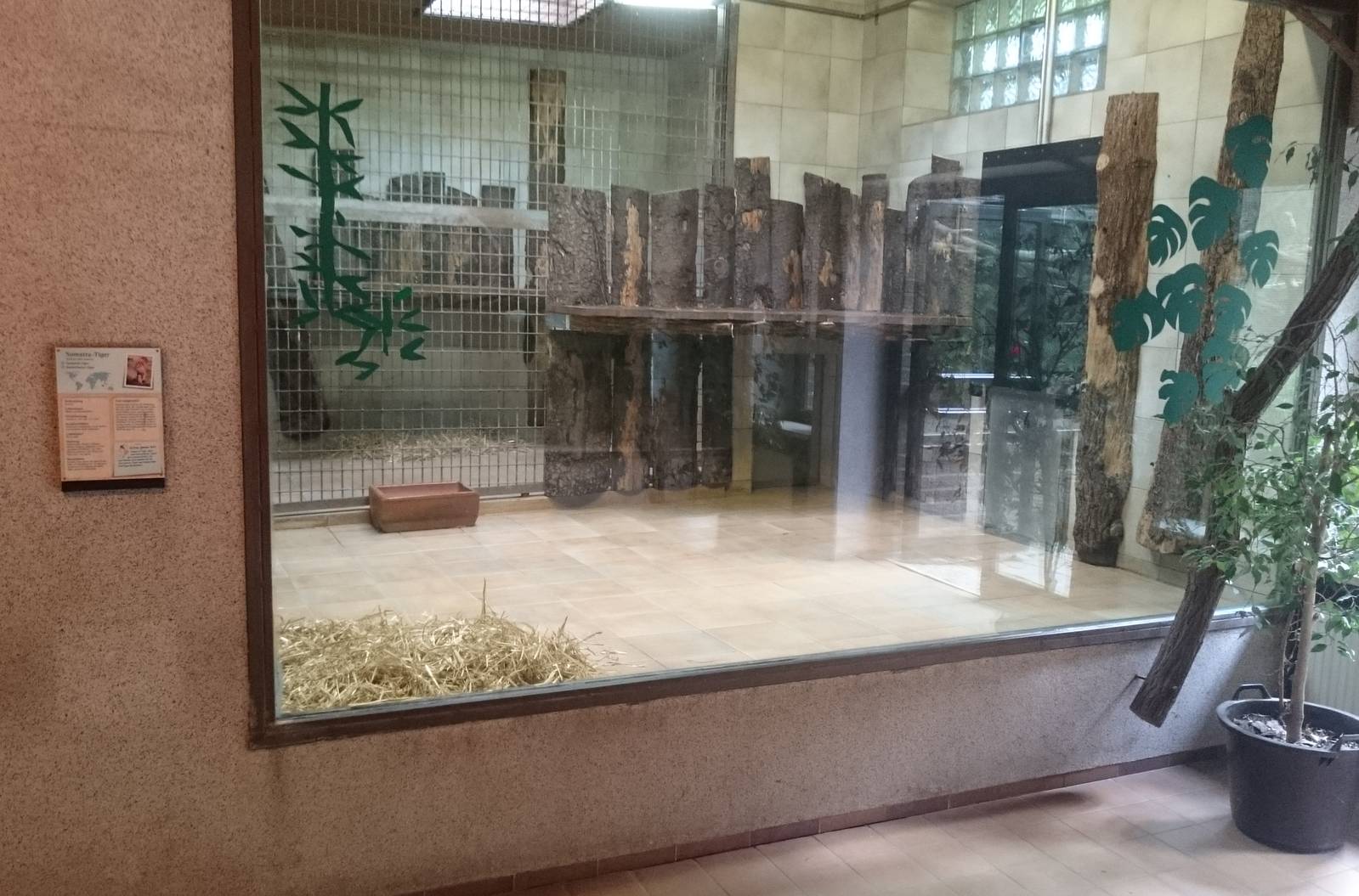 Indoor Sumatran tiger-enclosure