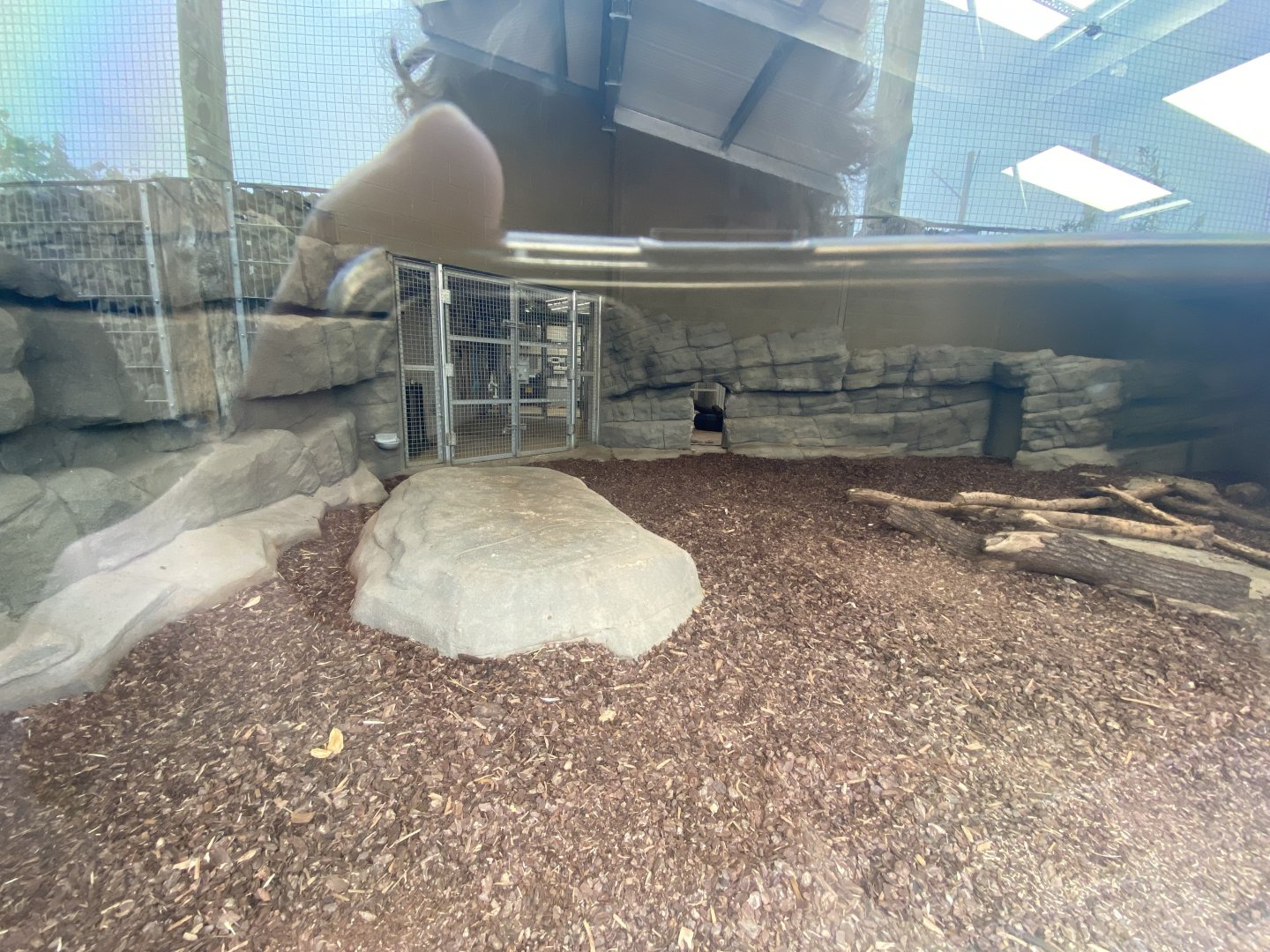 Indoor Sumatran tiger enclosure