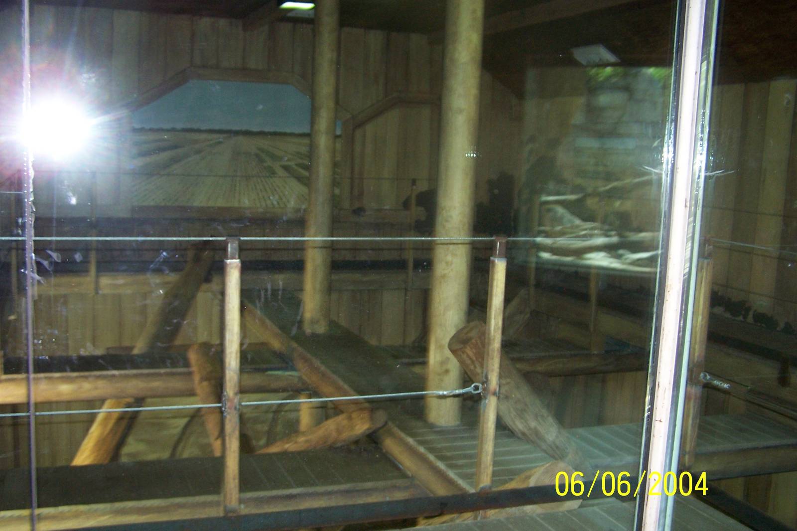 Indoor Sun Bear Exhibit ~ Asia Quest