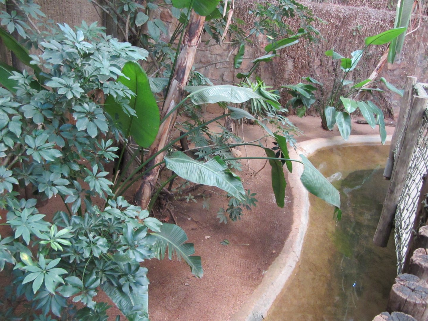 Indoor Swamp Exhibit