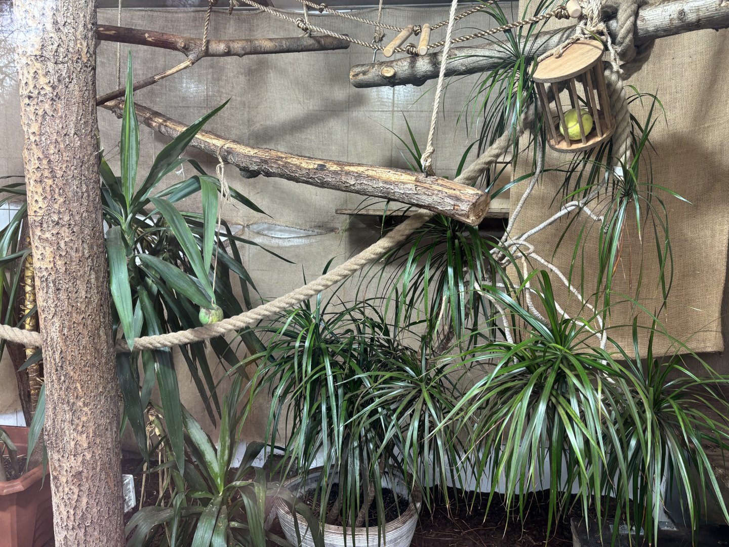 Indoor Tamarin Enclosure at Zoo Wassertstern (Ingolstadt)
