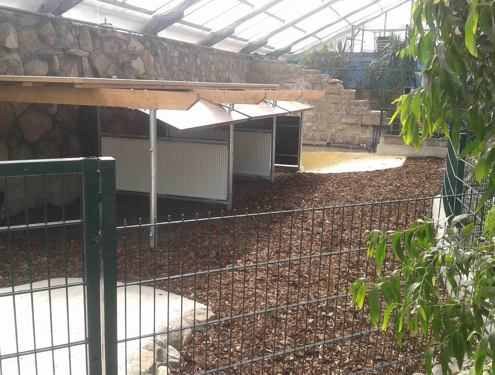 Indoor tapir enclosure