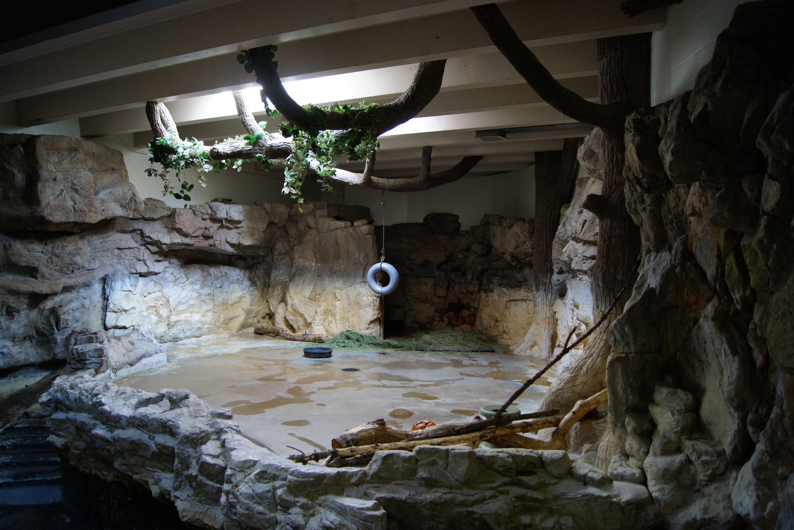 Indoor Tapir Exhibit