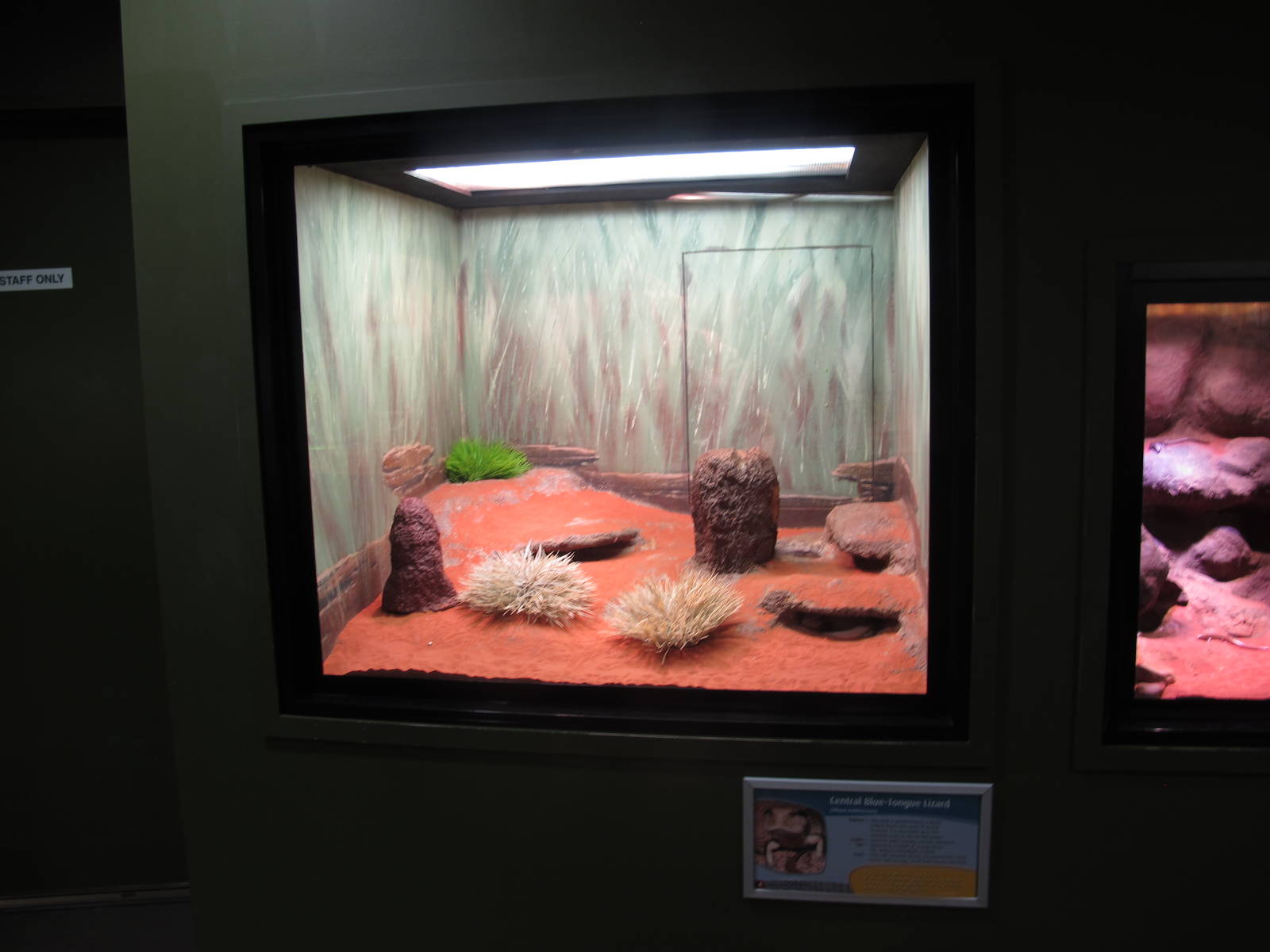 Indoor Terrarium - Crocosaurus Cove