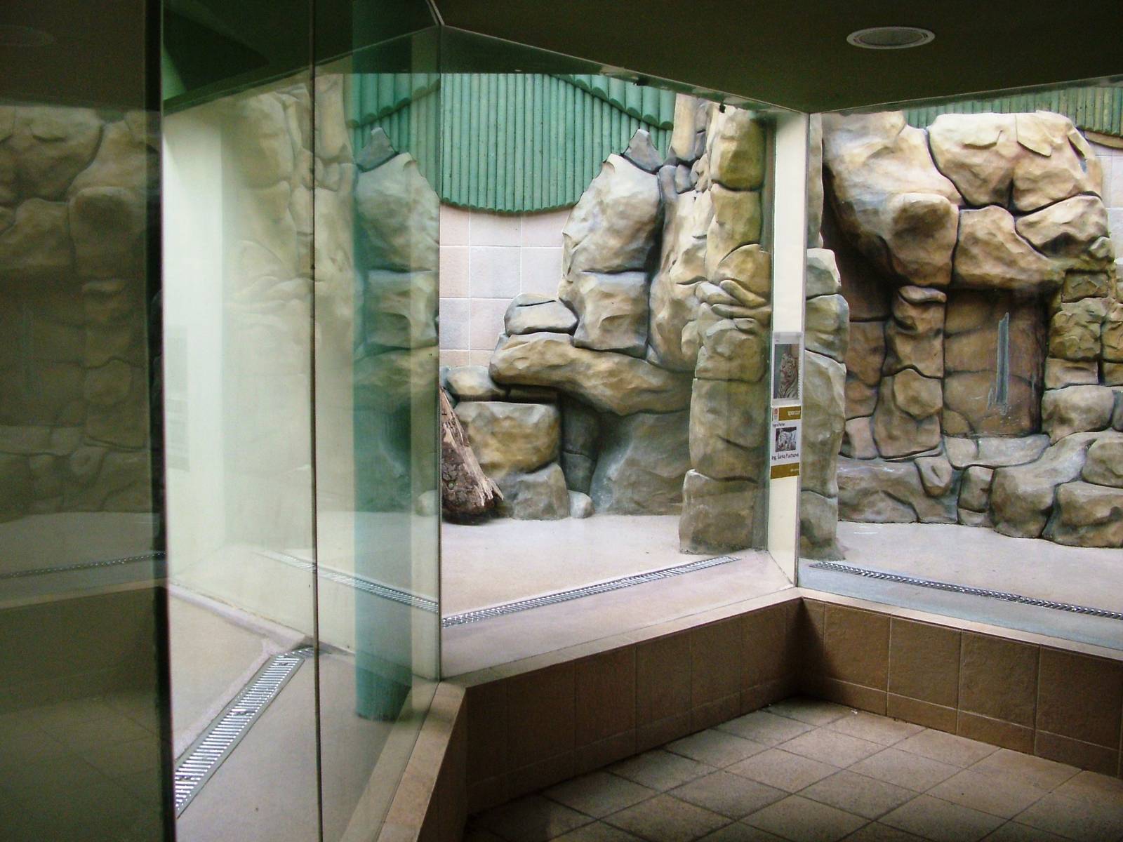 Indoor Tiger Dens at Liberec, 28/08/12