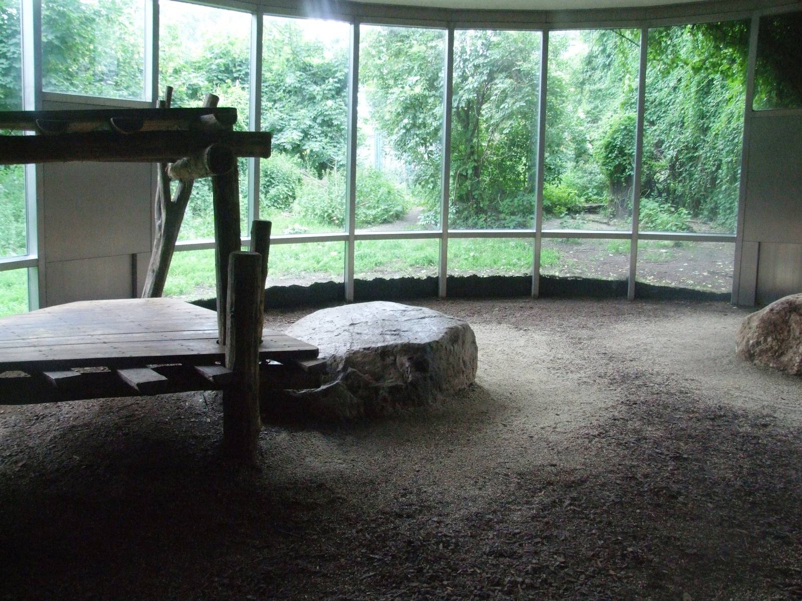 Indoor Tiger Enclosure at Vienna, 14/06/13