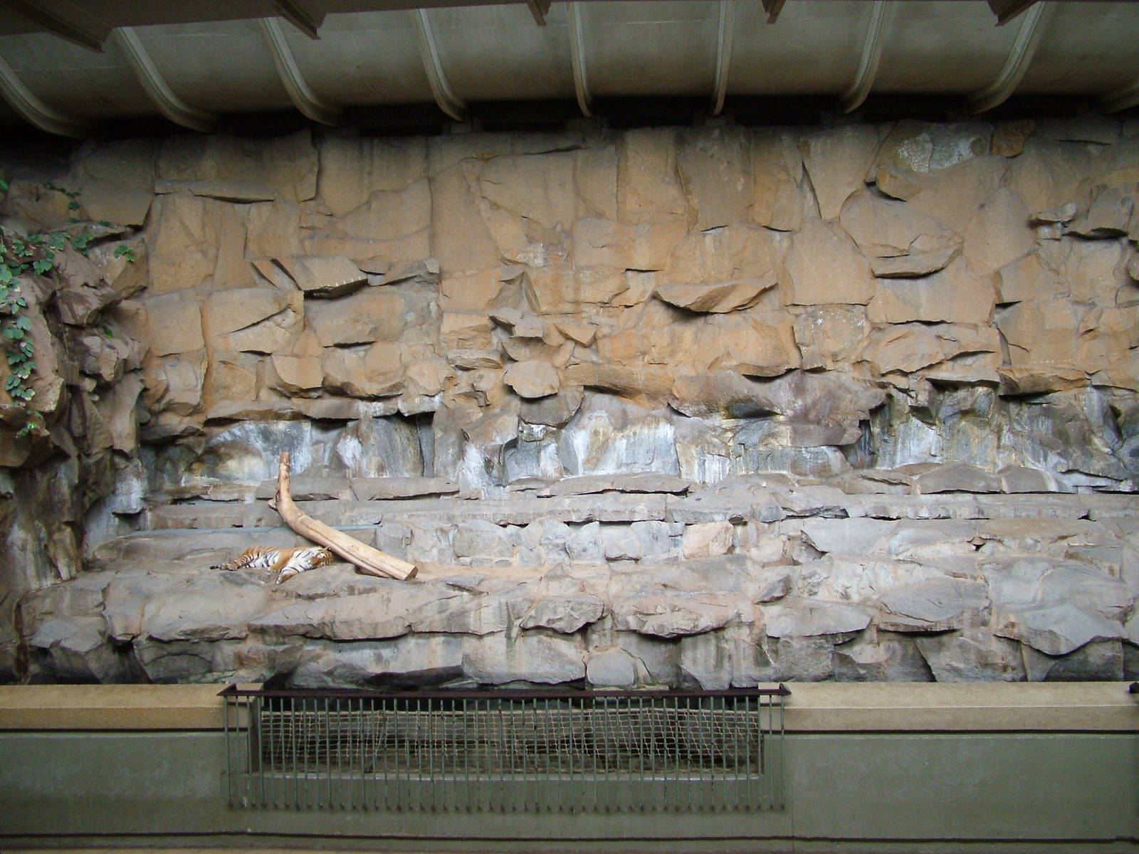 Indoor Tiger Exhibit at Tierpark Berlin, 30/08/11