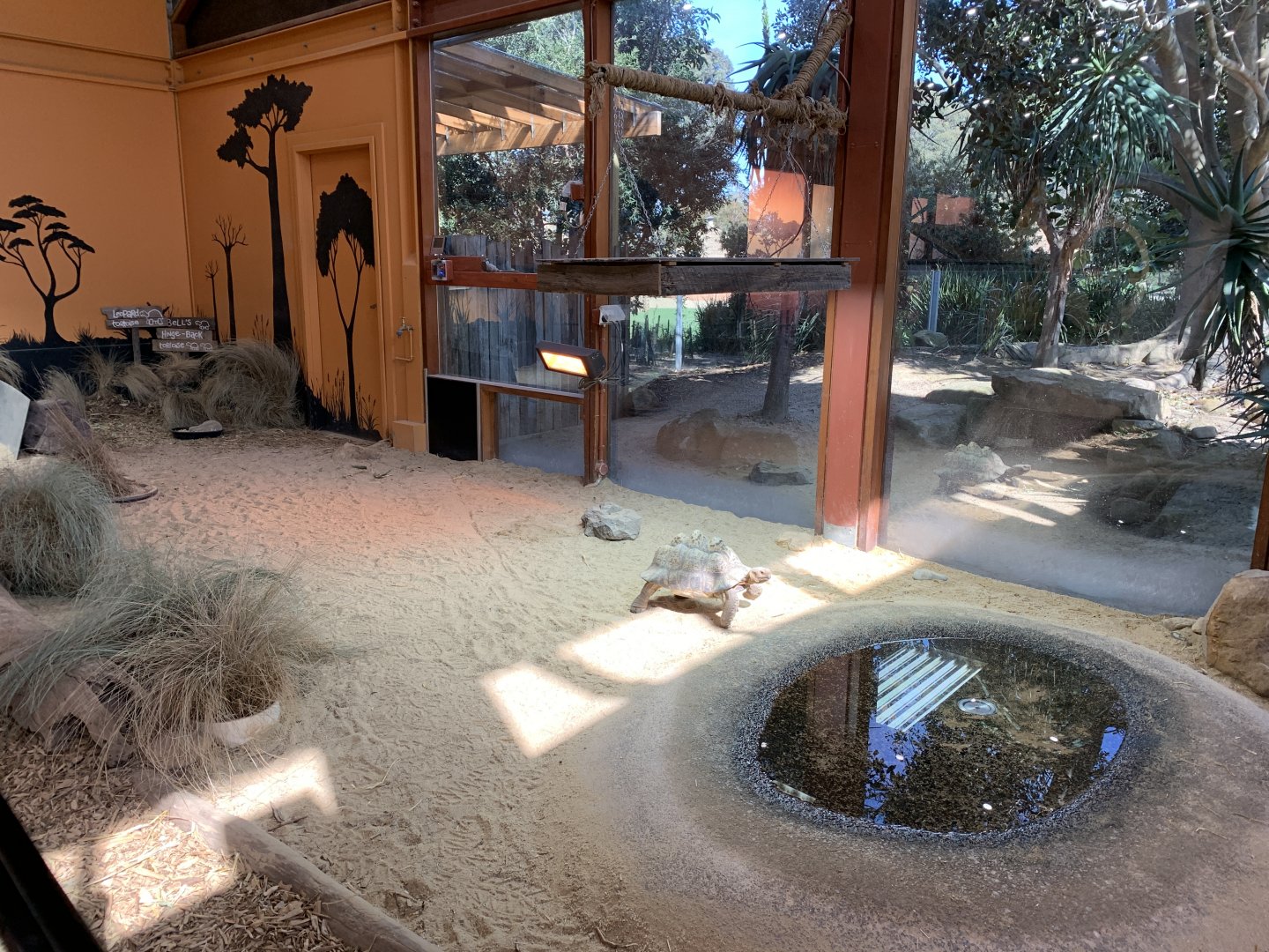 Indoor Tortoise Exhibit