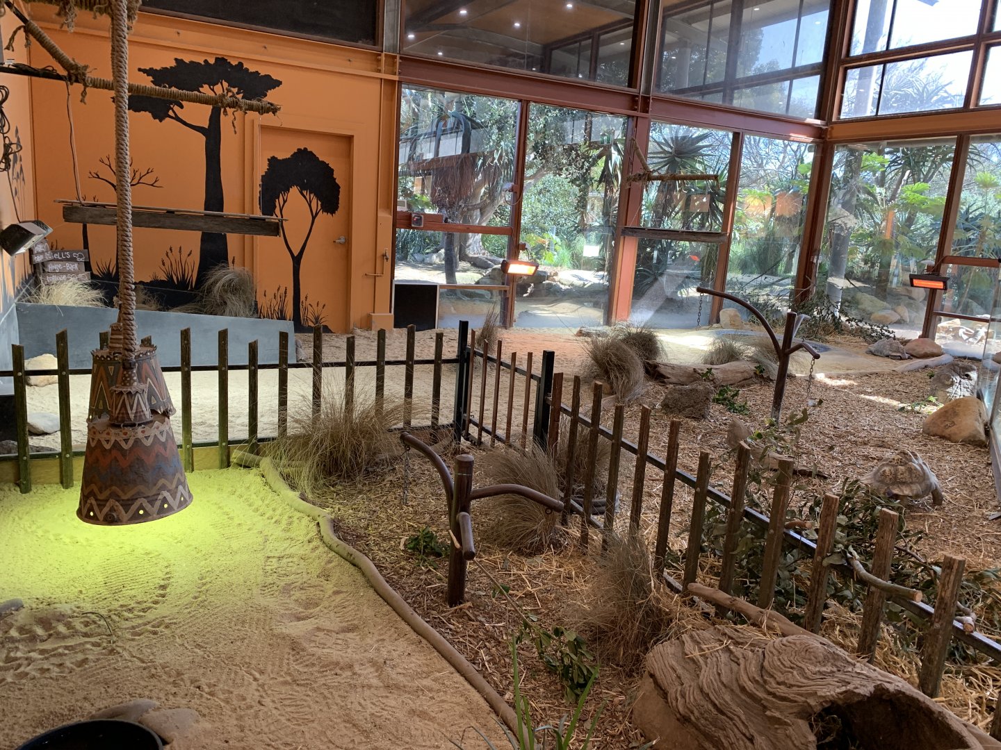 Indoor Tortoise Exhibit