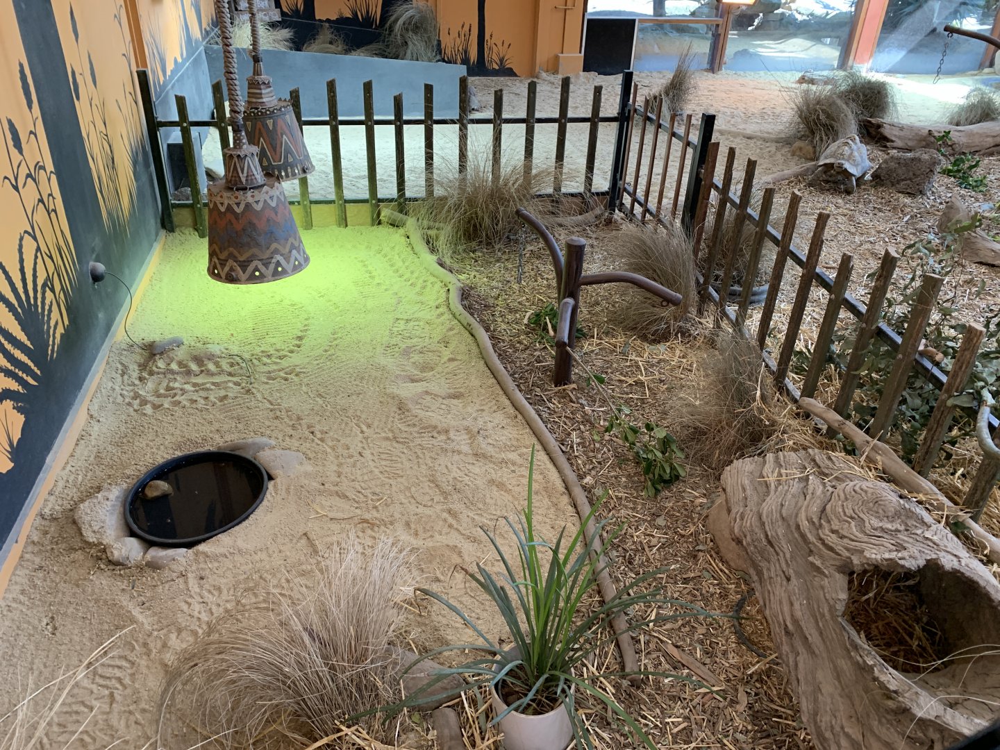 Indoor Tortoise Exhibit