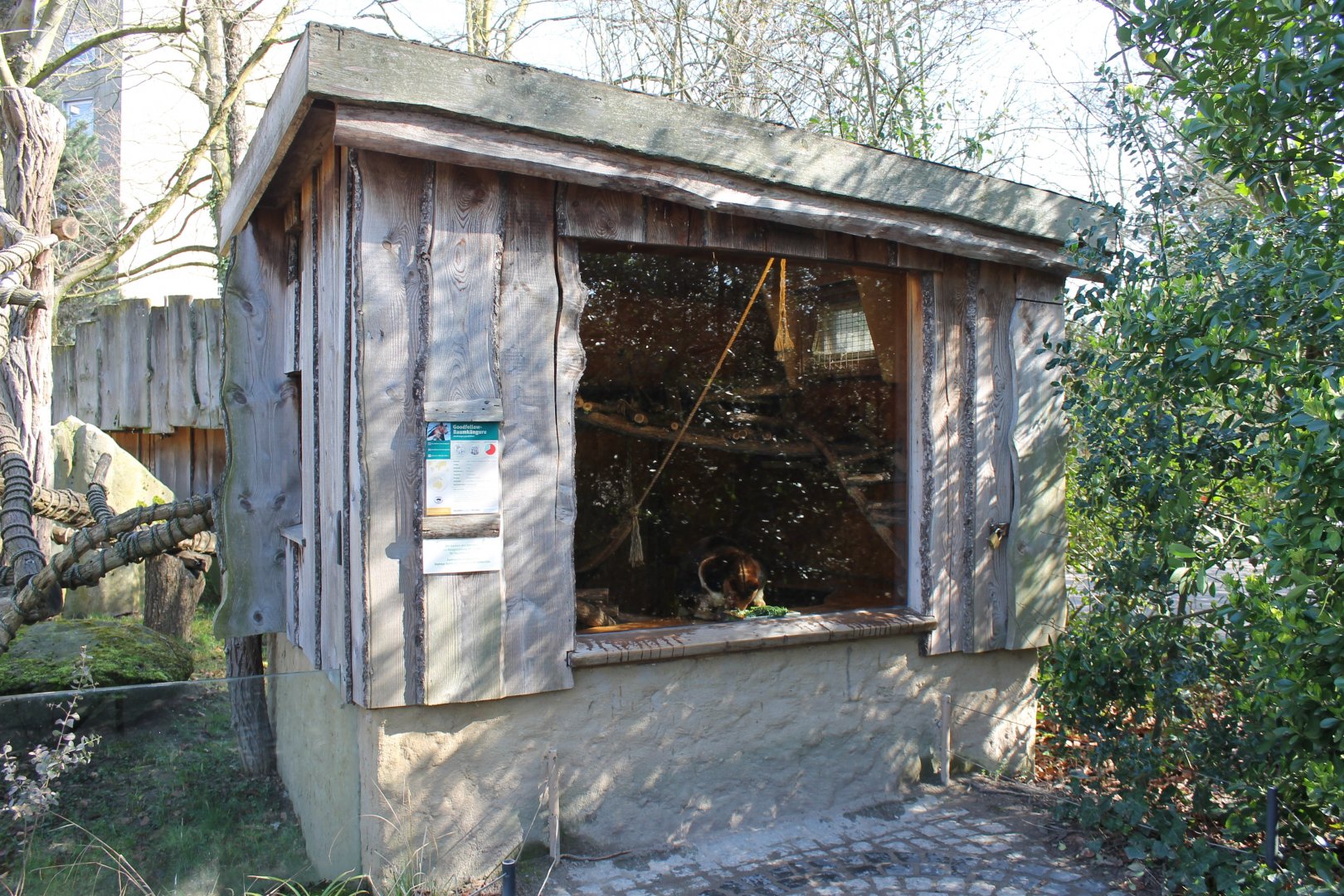 Indoor Tree kangaroo-enclosure