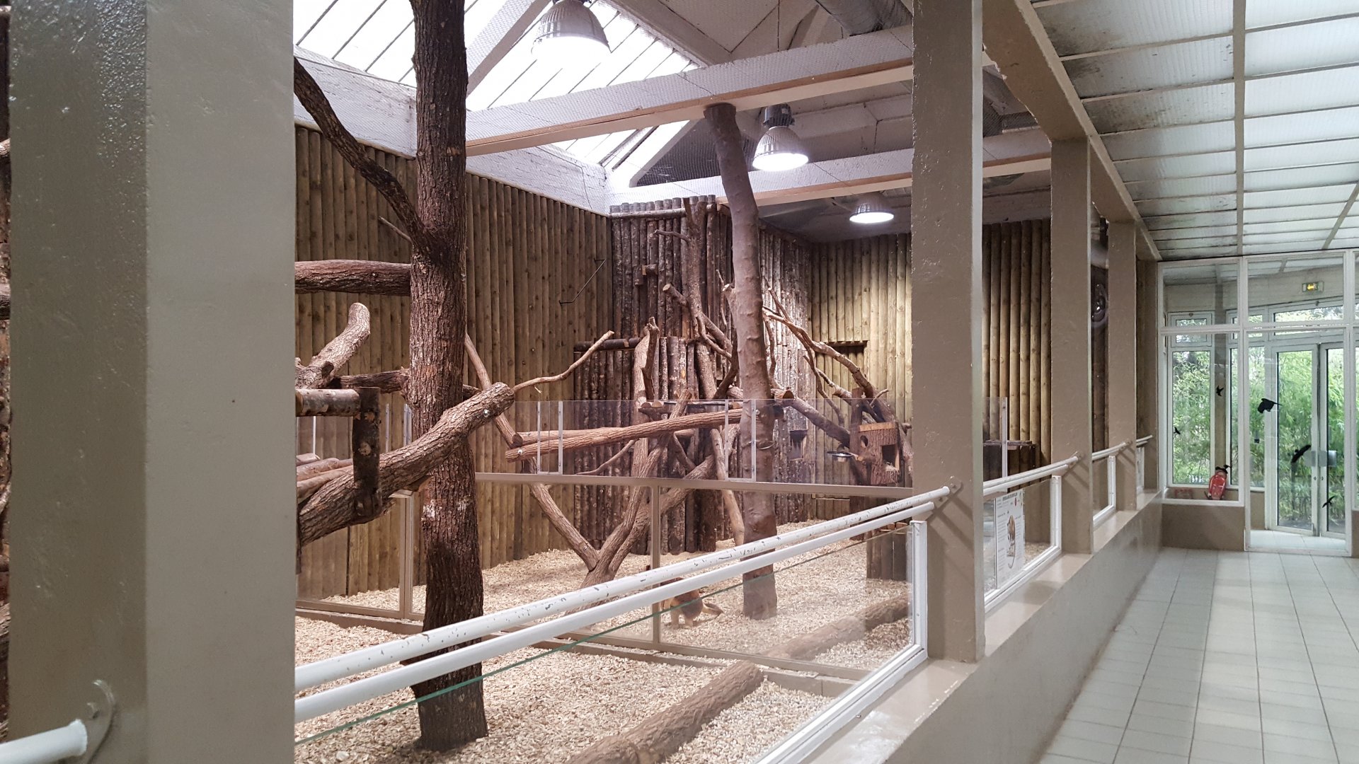 indoor tree kangaroo house
