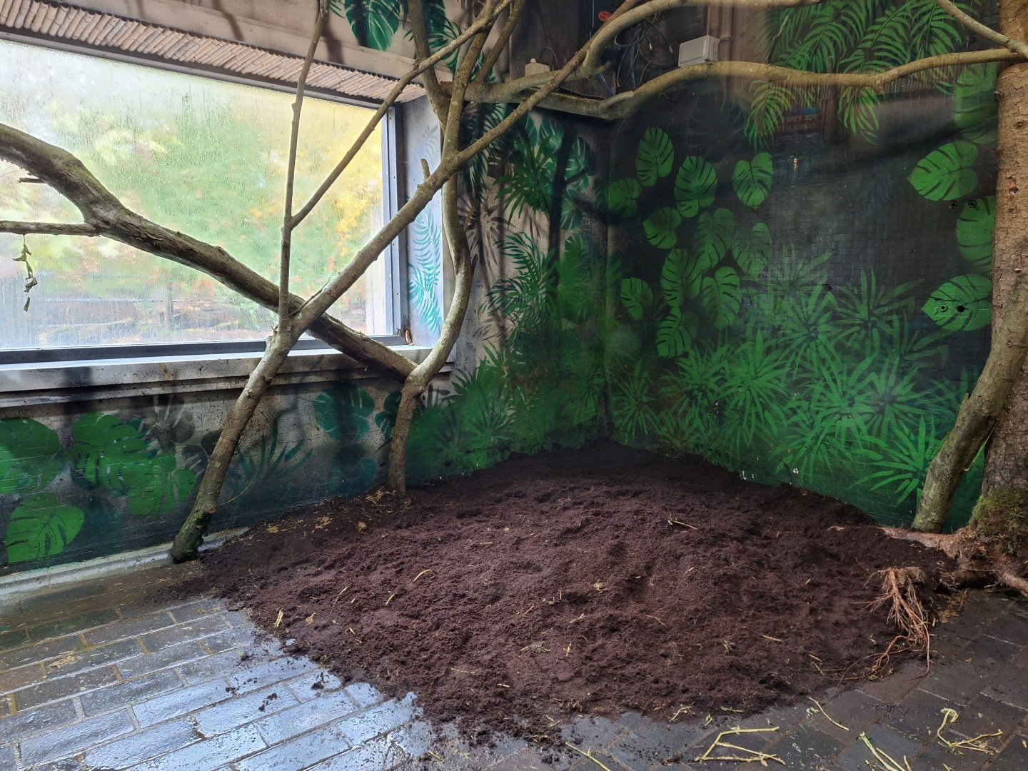 Indoor view of the new space in the Pygmy Hippo house- 9th November 2023