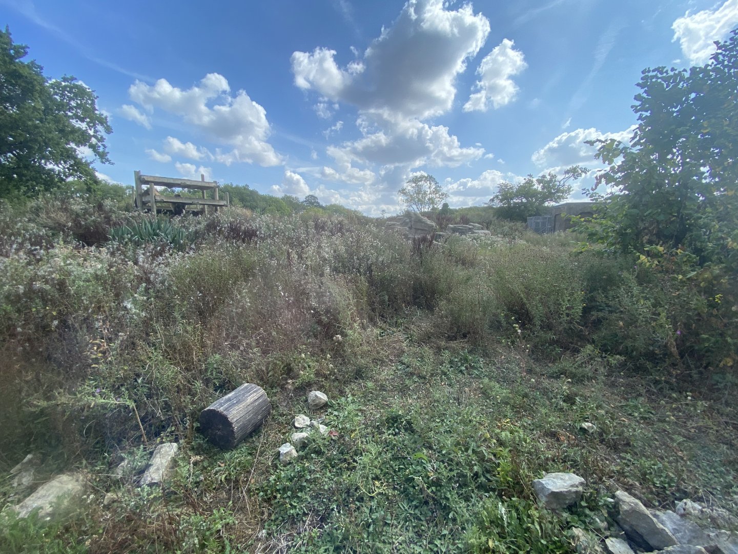 Indoor viewing area for outdoor gelada enclosure