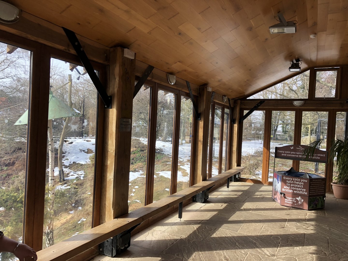 Indoor Viewing Area for the Lemur Enclosure at Tropical Butterfly House (March 2023)