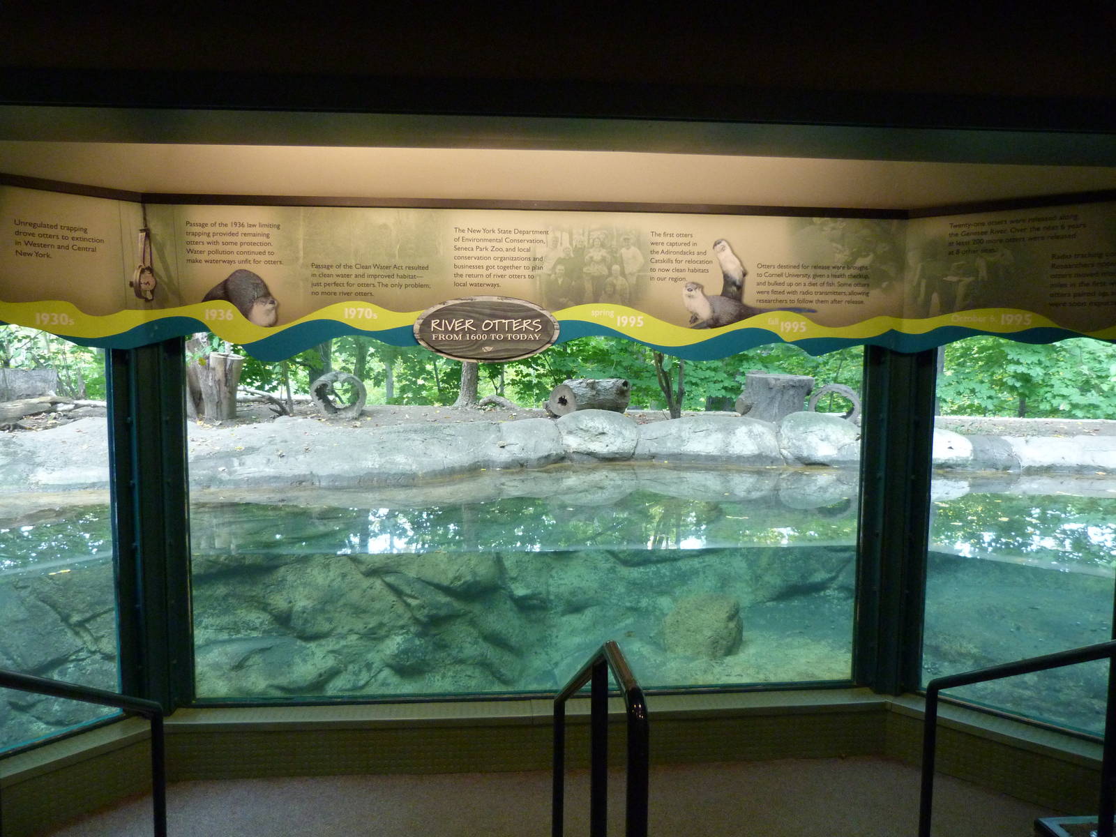 Indoor Viewing Area of Otter Exhibit