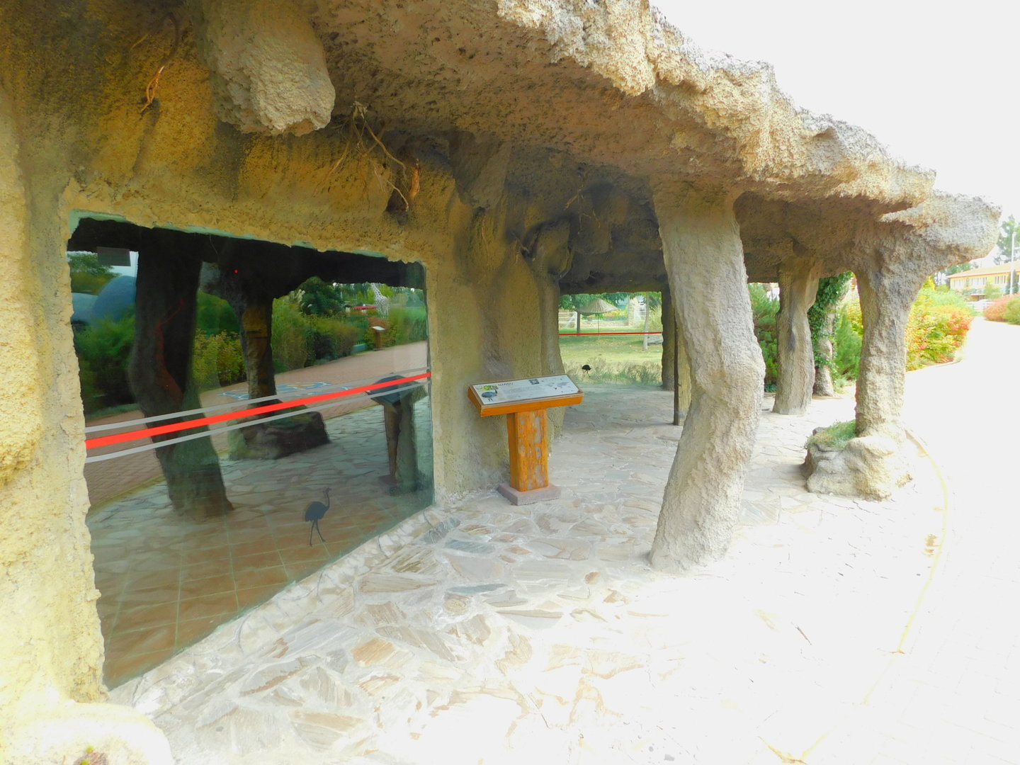 Indoor Viewing Display For Greater Rheas