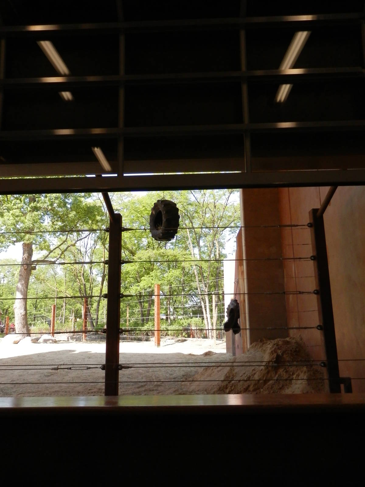 indoor viewing facing enrichment hole wall(elephant side)