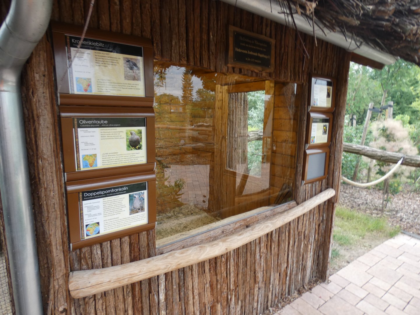 Indoor viewing of aviary