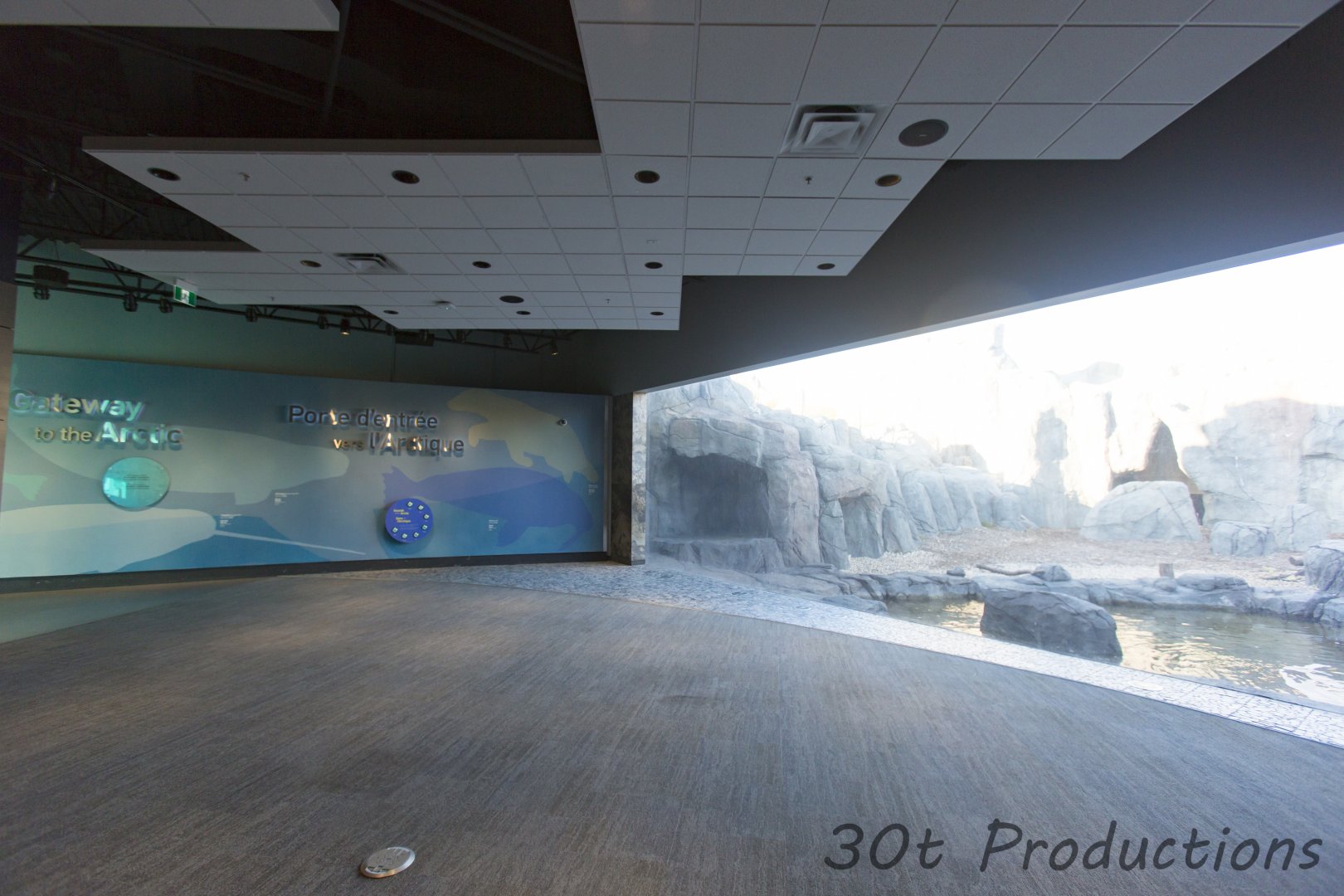 Indoor viewing of the polar bears