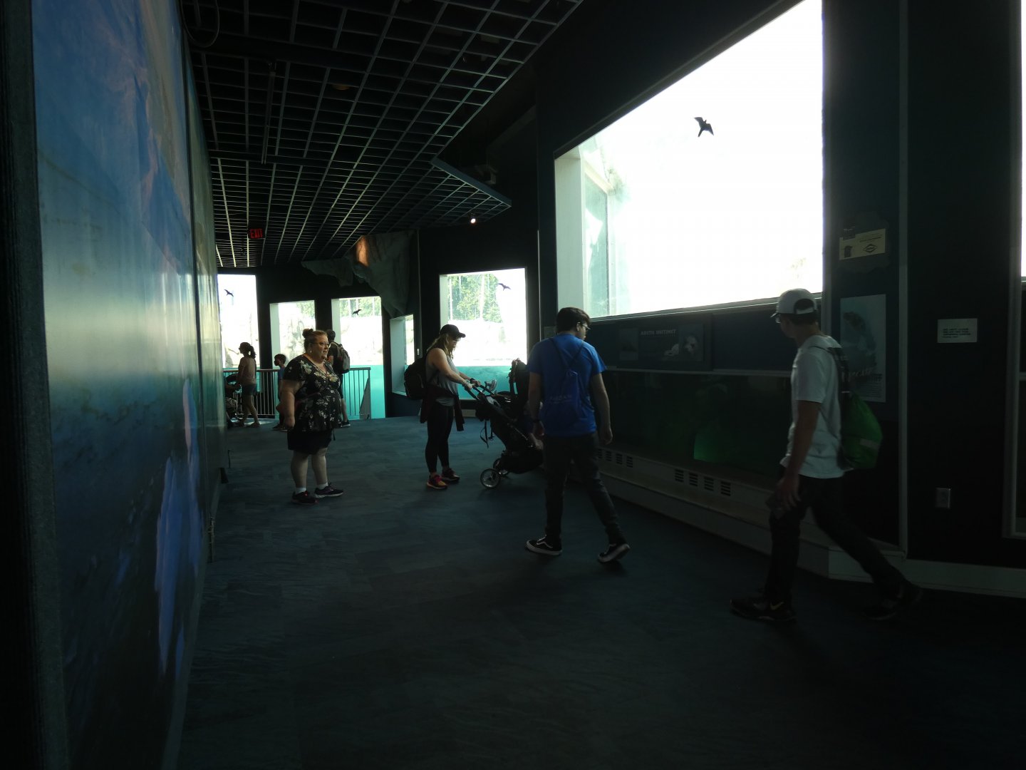 Indoor Viewing Shelter, Arctic Encounter - July 2021