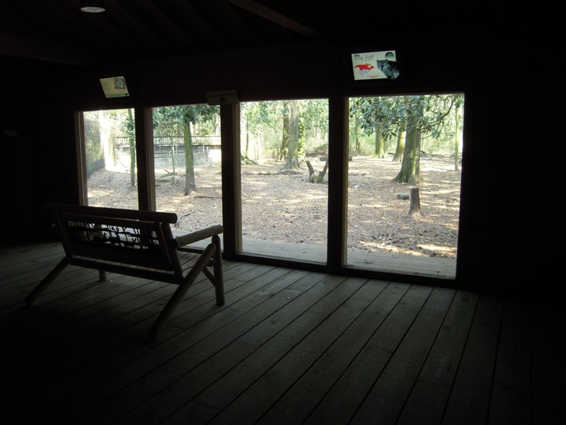 Indoor Viewing - Wolf Wilderness