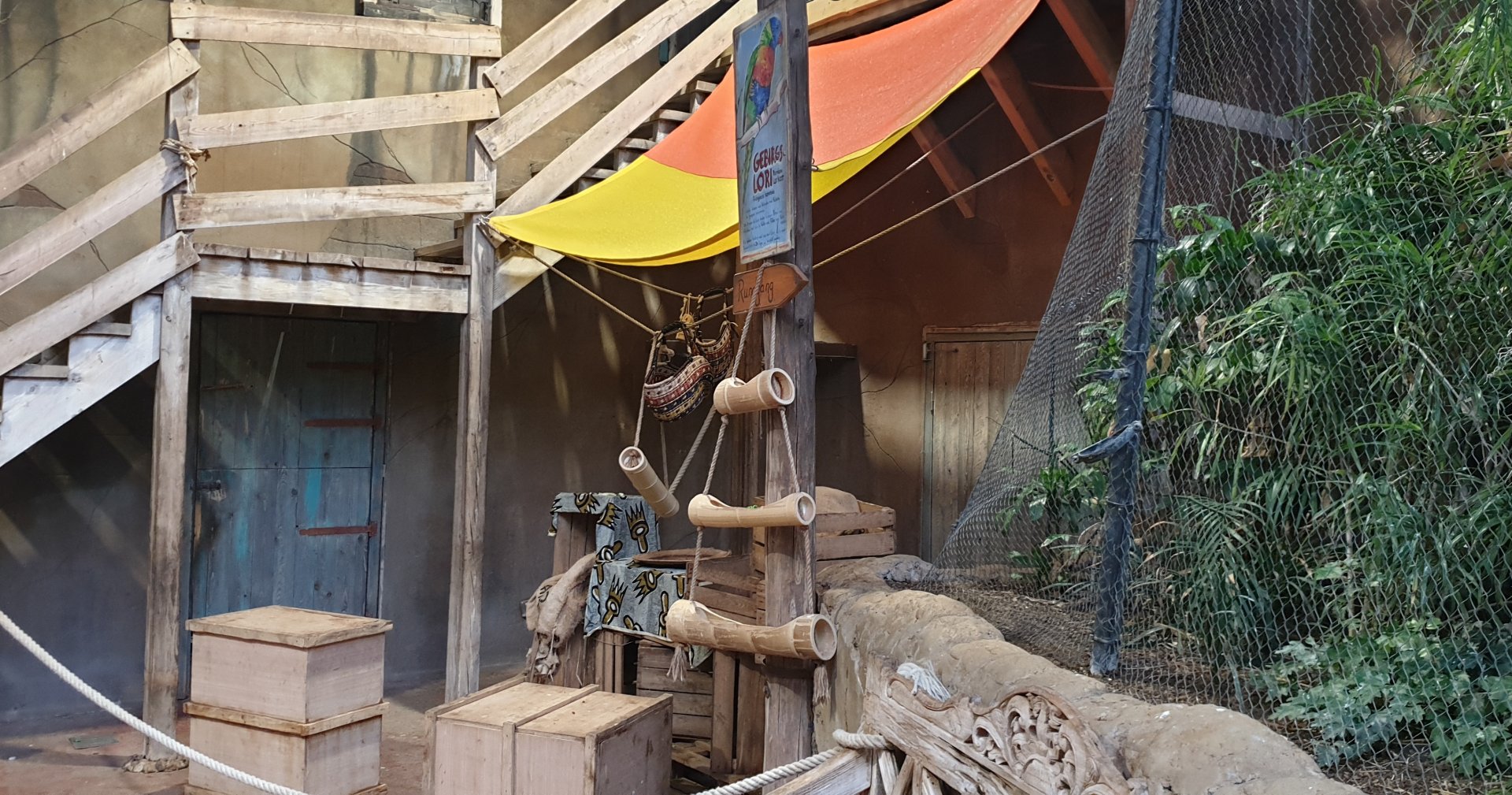 Indoor Walk-through Ring-tailed lemur enclosure