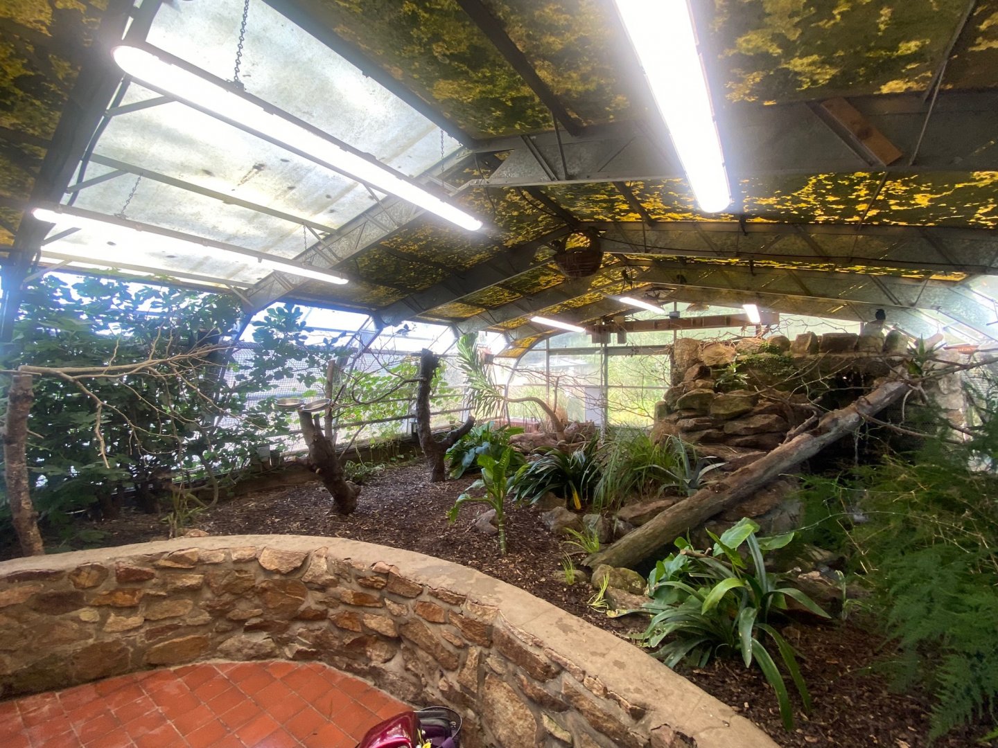 Indoor walkthrough aviary 081023