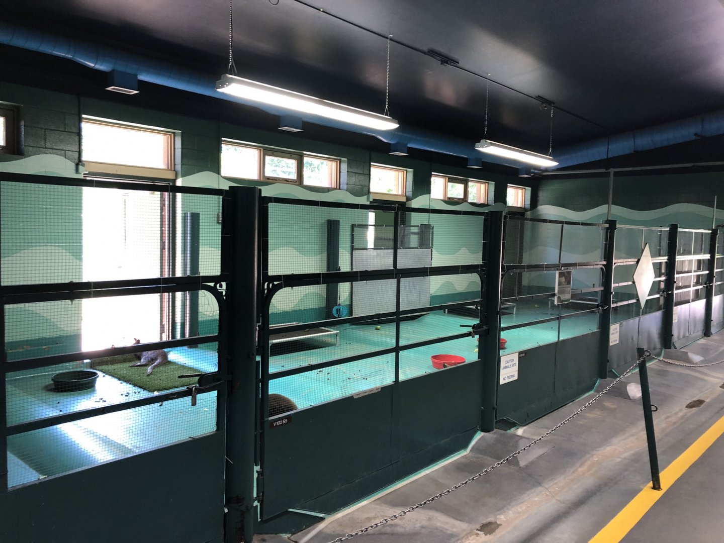 Indoor Wallaby Enclosure at Edmonton Valley Zoo (July 2022)