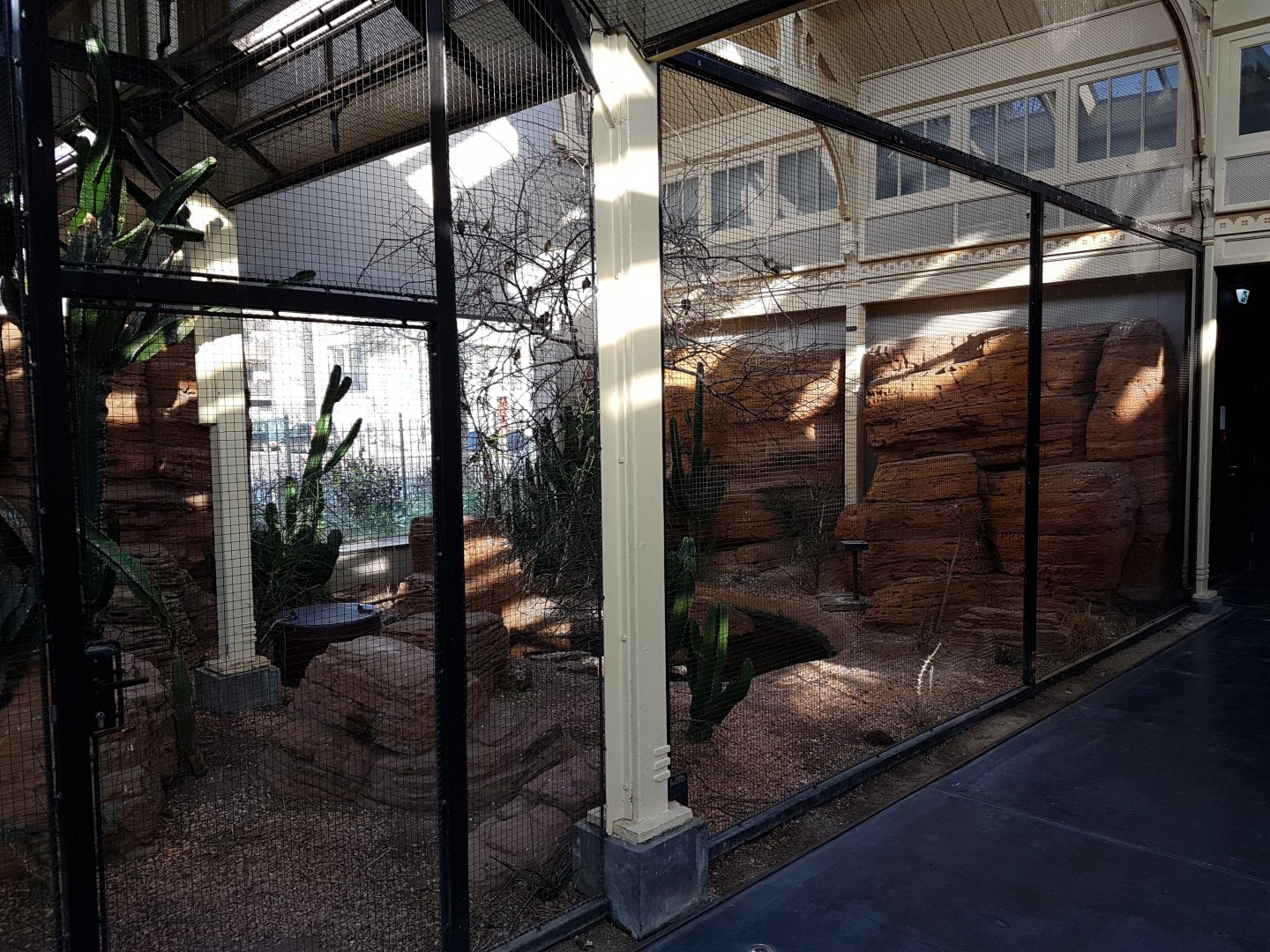 Indoor-weaver aviary