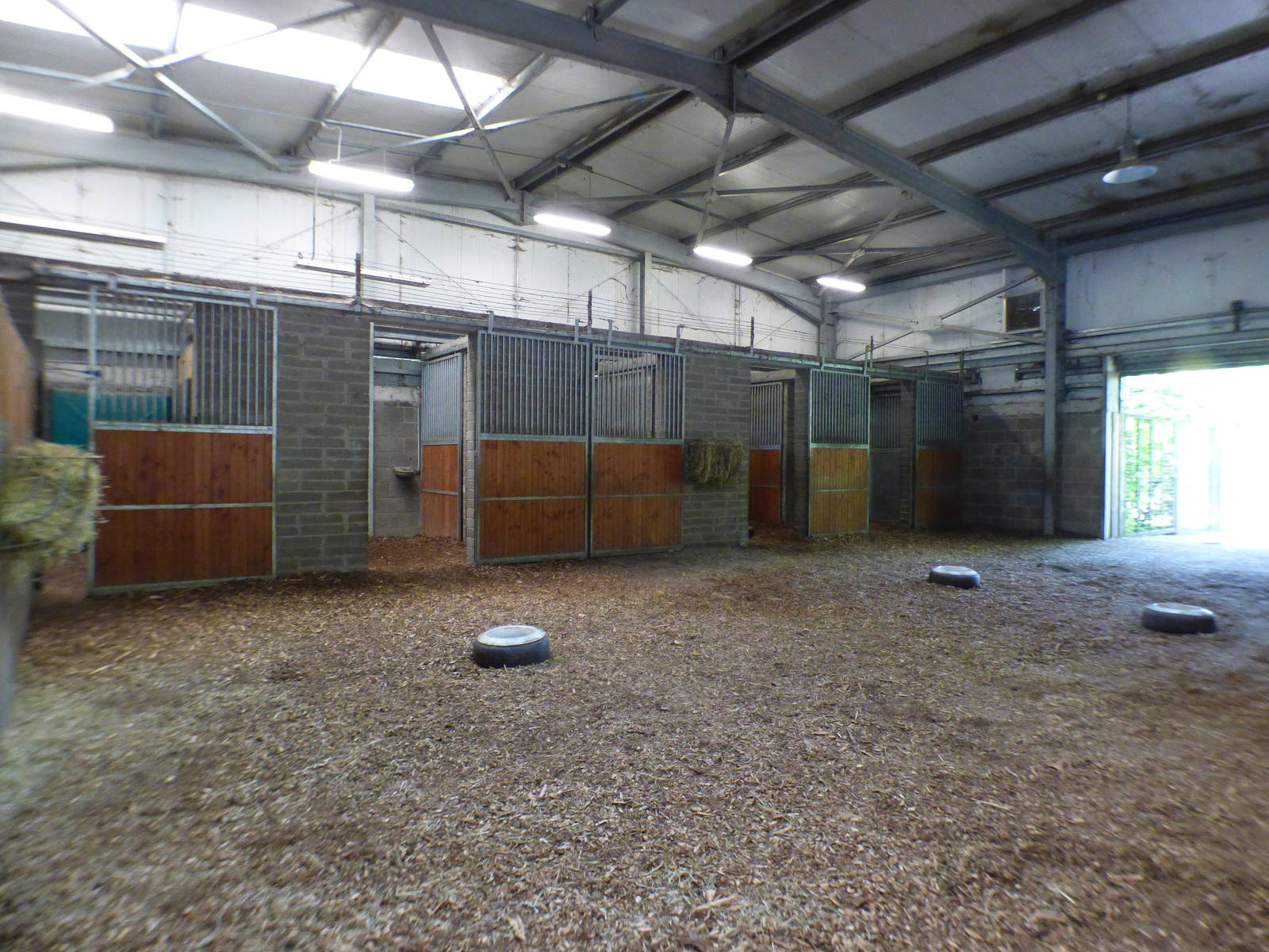Indoor Zebra Enclosure